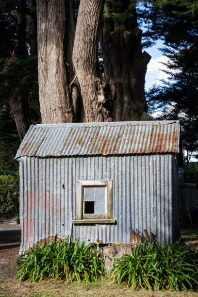 Corrugated iron shed, Australia