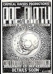 flyer 6